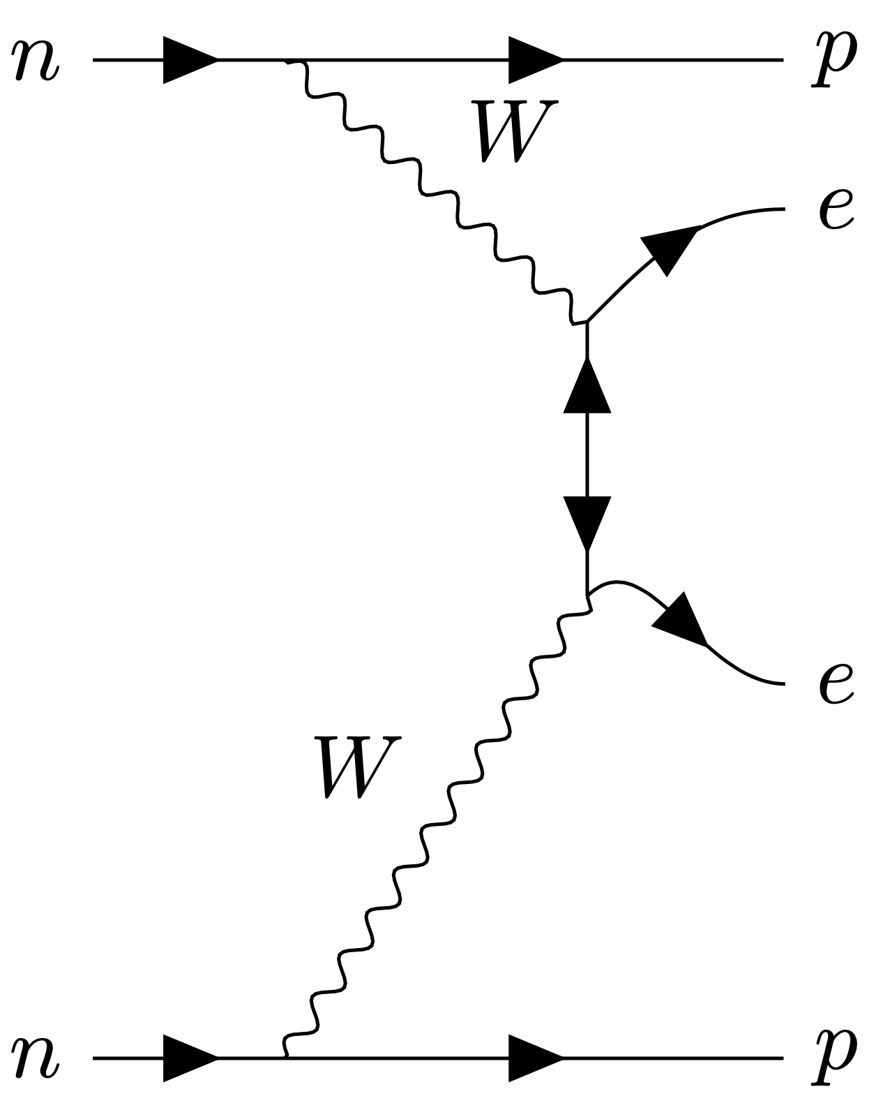 Neutrinoless Double Beta Decay